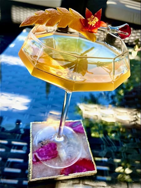 Robert Guidace Cocktail Art   Starflower Art | Telotha Levinson | Ryan Rickard | Leona Guidace | Robert Guidace