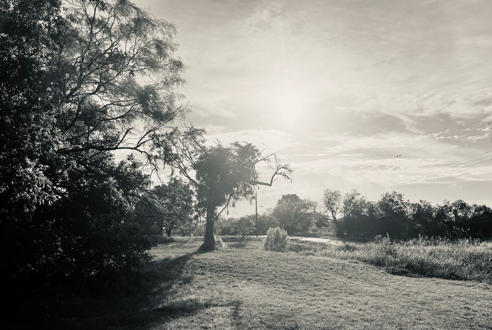 Bathed In Silver Art | Evynne Caffey Studio