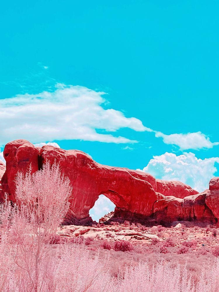 Alien Lands Art | Evynne Caffey Studio