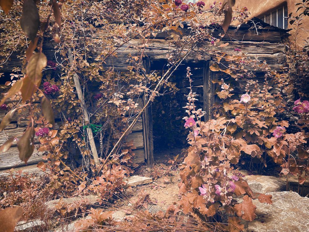 Hideout Art | Evynne Caffey Studio