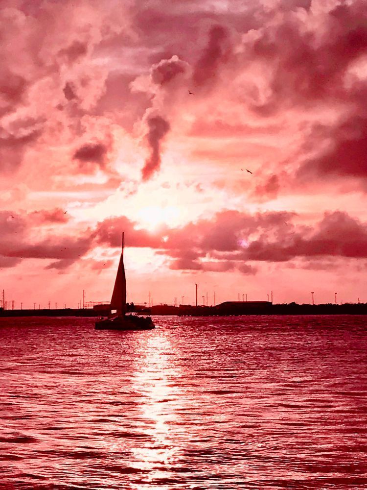 Sail Away Art | Evynne Caffey Studio