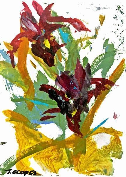 Wild Iris Print 101  5 X 7 Art | Terry Scopes Art