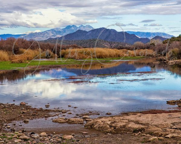 Salt River Reflections 30x40 Yg Art | GalleryCoronado