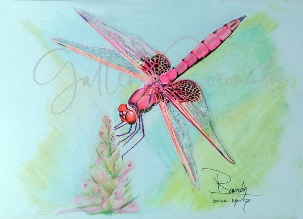 10x8 Dragon Fly Big Rr 0254 Gold Art | GalleryCoronado