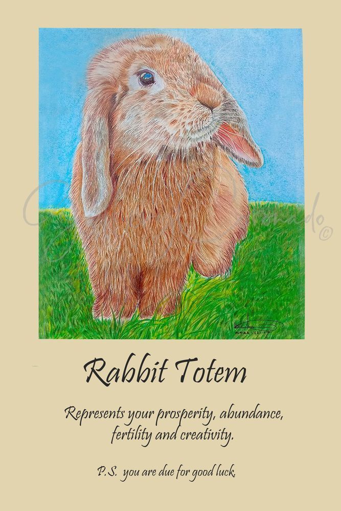 Totem P Bunny Rabbit Art | GalleryCoronado