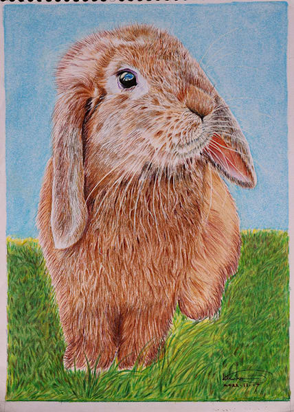 Bunny O Art | GalleryCoronado