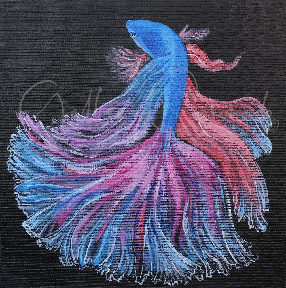 Betta Fish Op 1229 P AI Print Art | GalleryCoronado