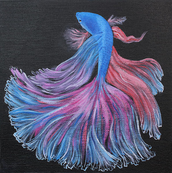 Betta Fish O Art | GalleryCoronado