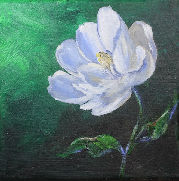A Flower In The Dark O Art | GalleryCoronado