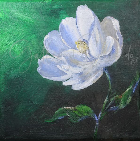 A Flower In Dark Oi 0225  P Art | GalleryCoronado