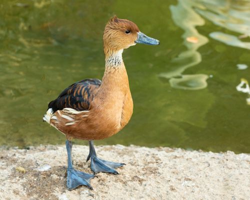 Mdawmdawmdawmdaw7qgraepd6cacehr zcfbfywxu2fyveayeunrgwctqqqltnerwweter6yomfiojy24adow ljj7f22f2vd2s3k0fn 38ezqodftc2xeuhdjufahdziomokxodj3hs jg da6ji5eudq olwagpj5emn5gyx6zudh9fvi1yrls sdckhw3if5i6oifbvhrw 4cyob5mkhghgd 8kaubfngjcfaho65bko xxot qf pe9i8ipktihwiadye4shhxq32ywrv8rbrtffrinv3phrvrv1i7c04bb5qfi3plpb5lpnzbljlwjuny2taxw