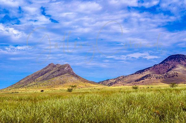 Oak Creek Canyon P Art | GalleryCoronado