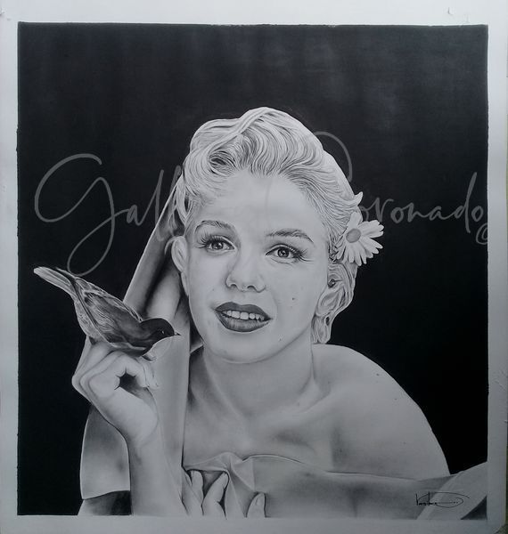 Marilyn P Art | GalleryCoronado