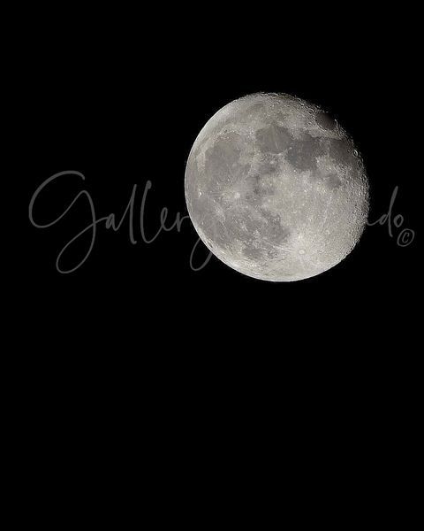 Silver Moon Art | GalleryCoronado
