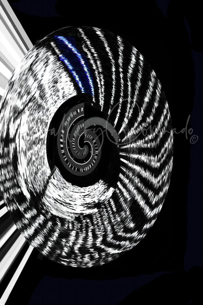Black & White Aria Art | GalleryCoronado