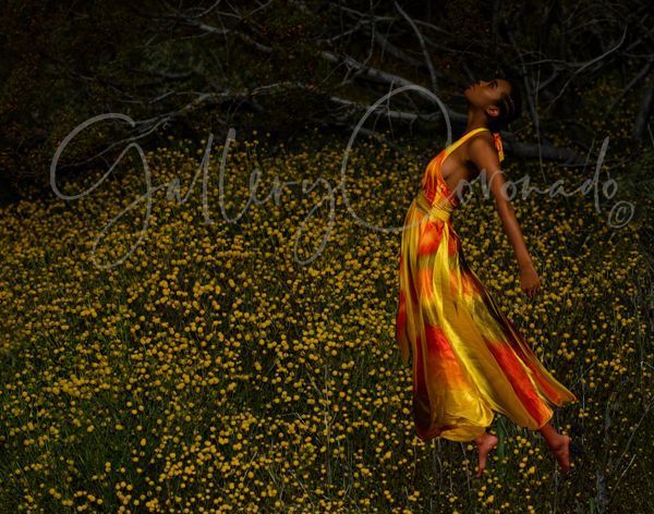 Tip Toe Art | GalleryCoronado