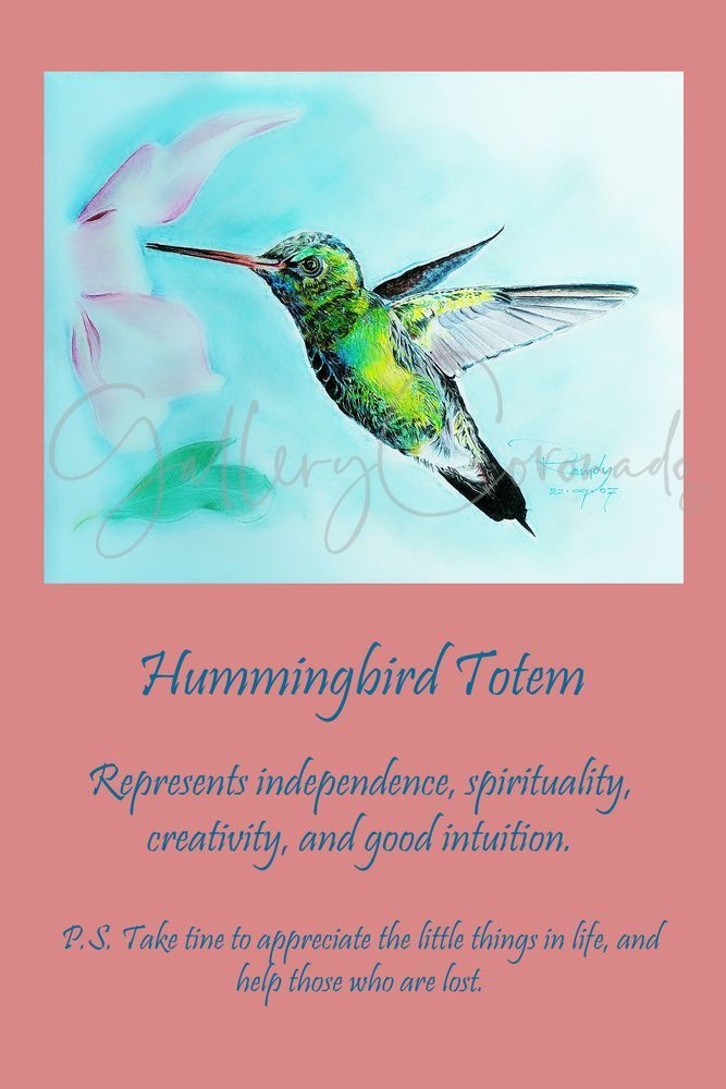 Totem P Hummingbird Art | GalleryCoronado