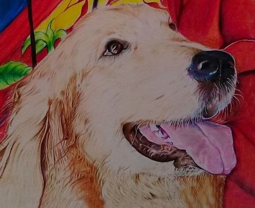 Mdawmdawmdawmdaw7qgraepd6cacehr zcfbfywxu2fyveayeunrgwctqqqltnerwweter6yomfiojy24adow ljj7f22f2vd2s3k0fn 38ezqodftc2xeuhdjufahdziomokxodj3hs jg da6ji5eudq olwagpj5emn5me3qtamhwb1cpaqji6m3zhdbsszxfs9tbxflbe6ocldyhhqhjfwpiqu77febskincylh9d6oyub0c rvgfqf65mz0hnt90l8zzy08vfo3mc6uw9keawgv8x8chsnrgekhz m0ruwtbedi4rfvmzws8ak8k7zkifevsf1a4tlpzrg
