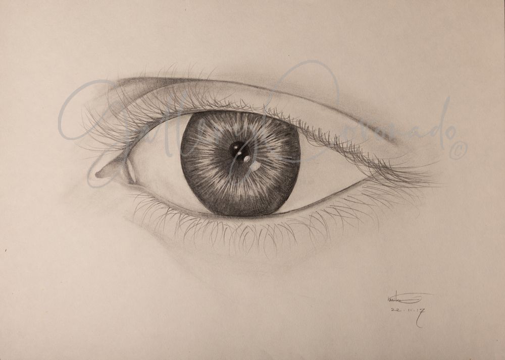 Eye 8375 Crop P 30x20 Art | GalleryCoronado