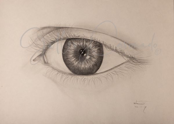 Eye 8375 Crop P 30x20 Art | GalleryCoronado