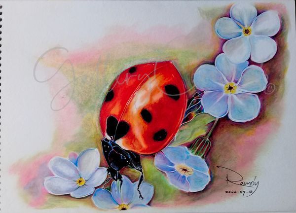 Ladybug P Art | GalleryCoronado