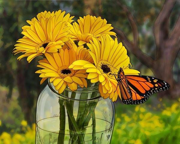 Illustrated Photographs
