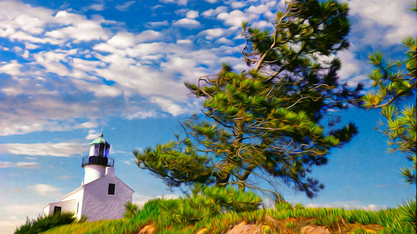 Digital Paintings From Photos