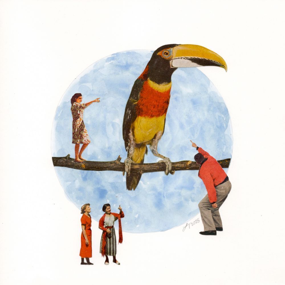 Big Bird Art | Real Creative Studio