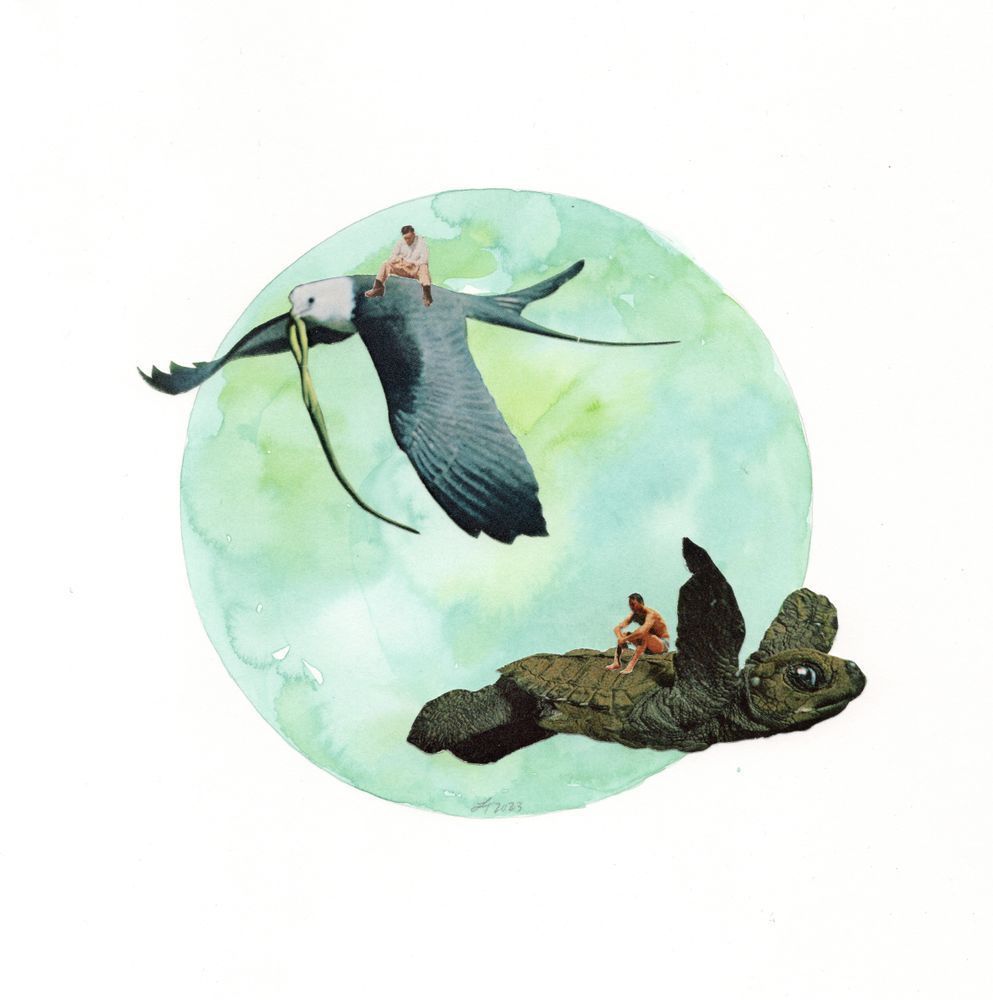 Fly By Art | Real Creative Studio