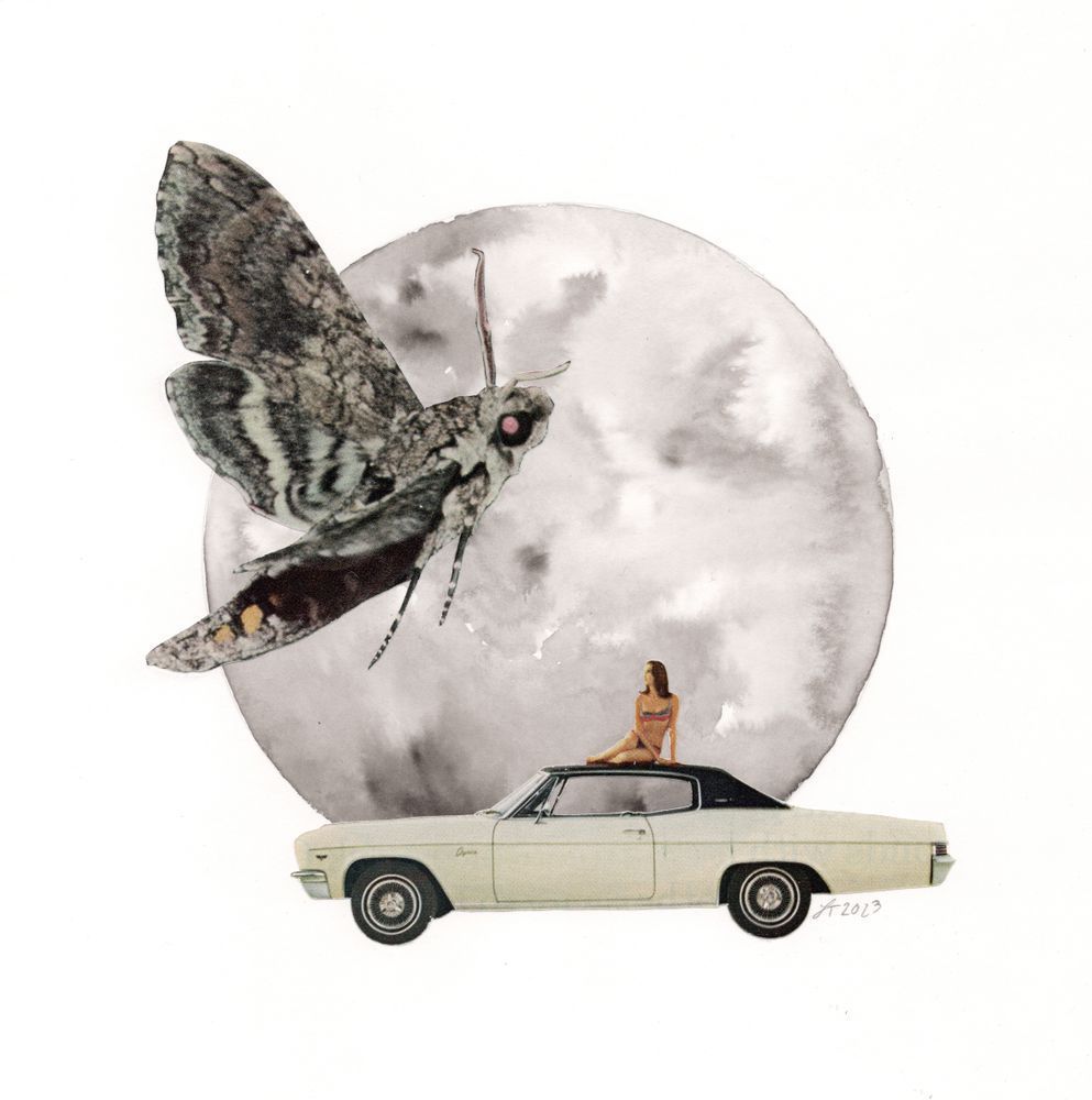 Moth Art | Real Creative Studio