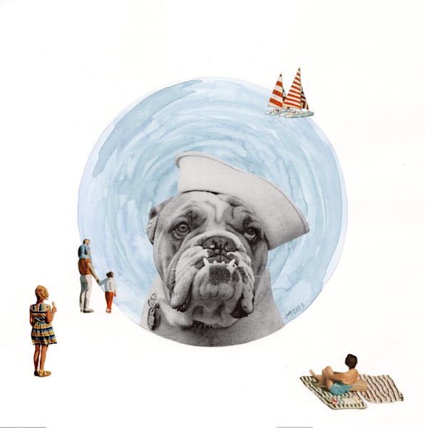 Sailor Dog Art | Real Creative Studio