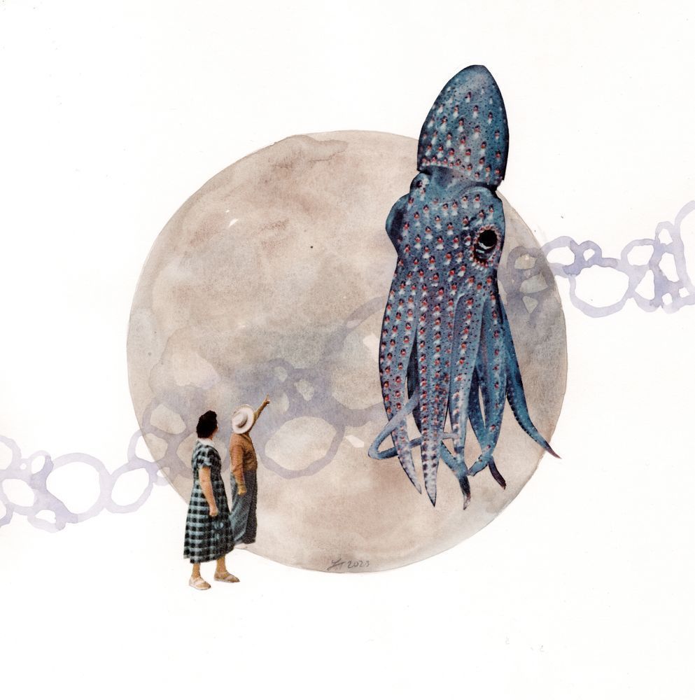 Squid Art | Real Creative Studio