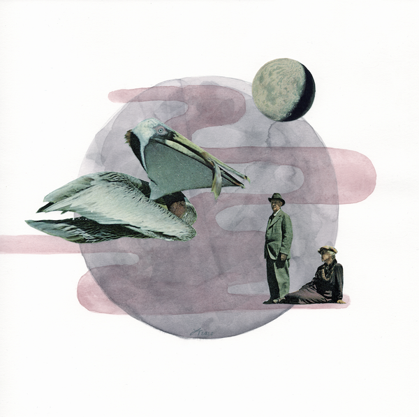 pelican full moon original art