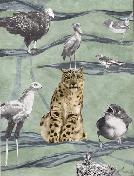 Bothersome birds demanding the attention of their white tiger caregiver fine art print