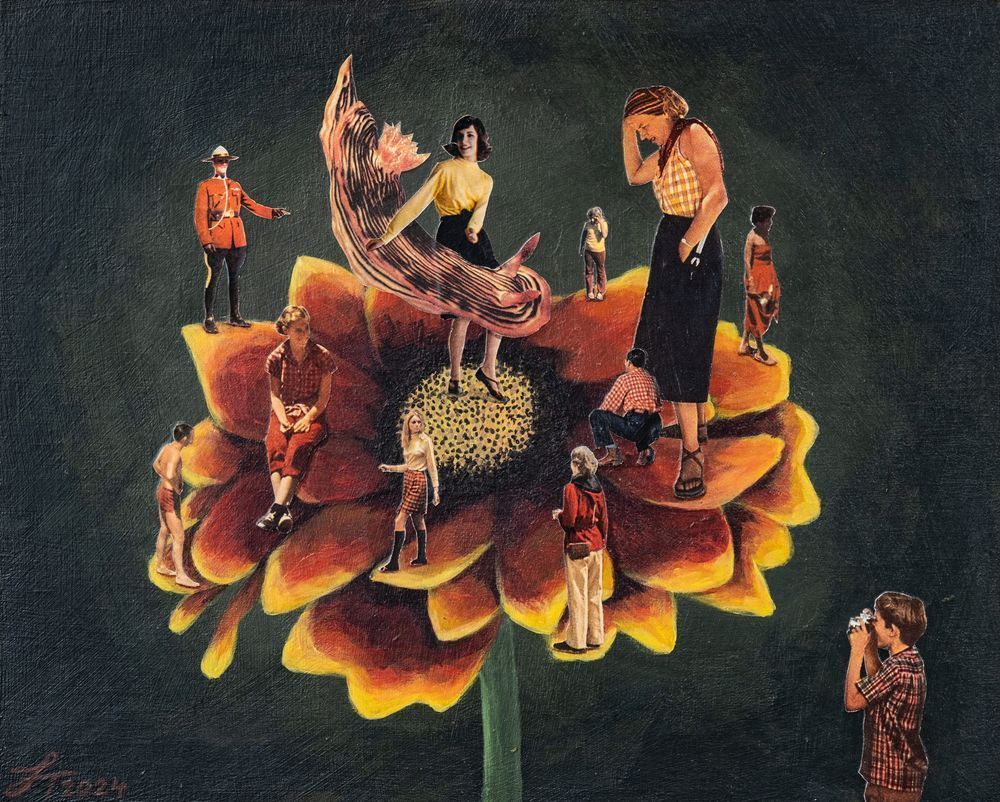 Gaillardia (Dance Partner)