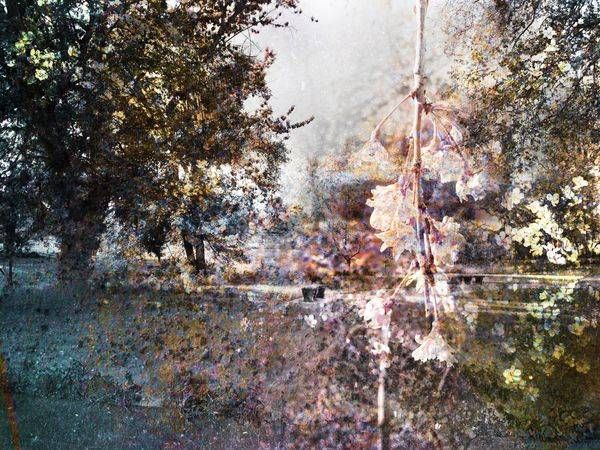 April Walk Art | Amy Ueckert Bates | Art