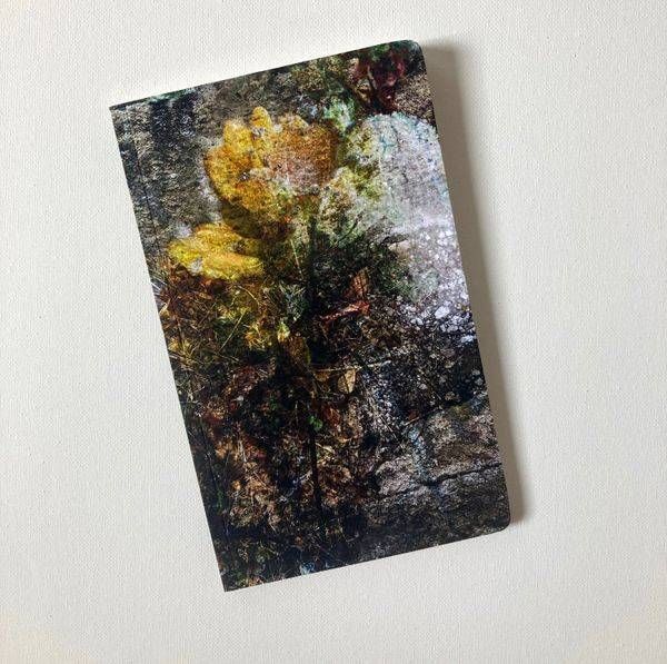 February Cholla Notebook | Amy Ueckert Bates | Art