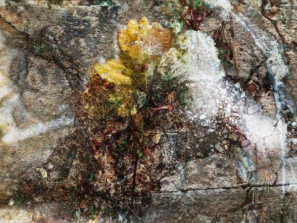 Seasons and Sidewalks