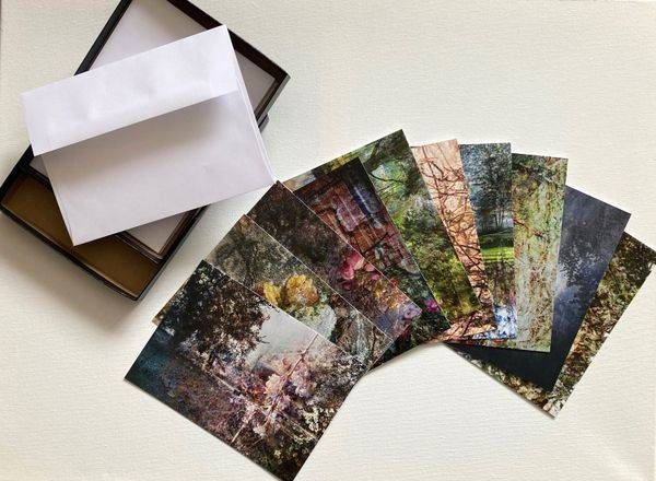 Greeting Cards Variety Pack Spring 2024 | Amy Ueckert Bates | Art