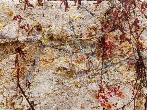 Garden Wall Lace Art | Amy Ueckert Bates | Art