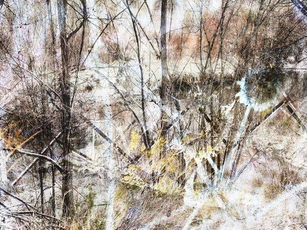 January Bloom Art | Amy Ueckert Bates | Art