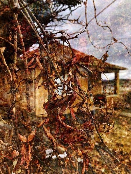 Lookout Point Art | Amy Ueckert Bates | Art