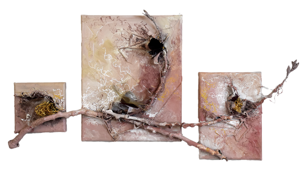 Rejoices With The Truth Art | Amy Ueckert Bates | Art
