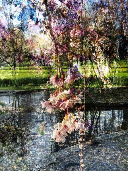 Sweetness In The Air Art | Amy Ueckert Bates | Art