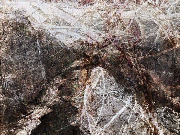 Snowy Branches Art | Amy Ueckert Bates | Art