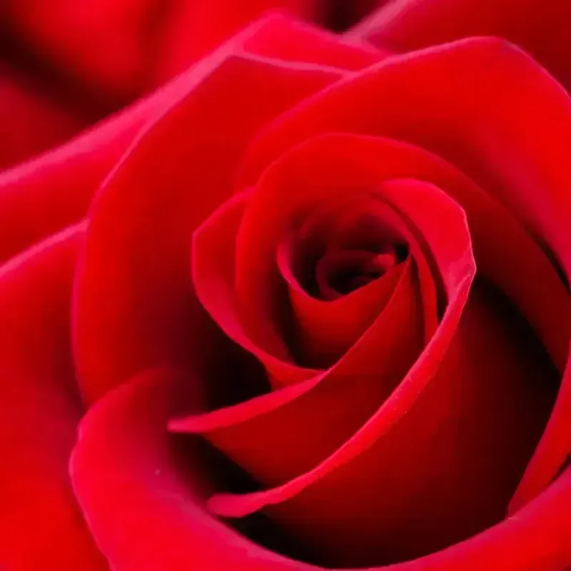 Mdawmdawmdawmdaw7qgraepd6cacehr zcfbfywxu2fyveayeunrgwctqqqltnerwweter6yomfiojy24adow ljj7f22f2vd2s3k0fn 38ezqodftc2xeuhdjufahdziomokxodj3hs jg da6ji5eudq olwagpj5emn5rcm6dynvkb1mgcgzf6clngzdnioemqn1wupcqqo4y3mqsy ldahwl6lenvlotij5anvswbalxbdubsar ckuxsyprvspp3798nyqpagn9qsgwqmbdwwhhtncqmtlrdl53ok17u1frs60dvkyvi8tt5nbg4xfnsrdwqgsdsbvrtjb2knl7ldenopr0xjum4fumv5m0kxizmtbc5 2 bxflyjpnmeb8w1mxjdwsaj315flh