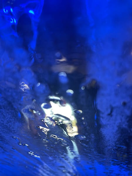Reflections in Motion Photography