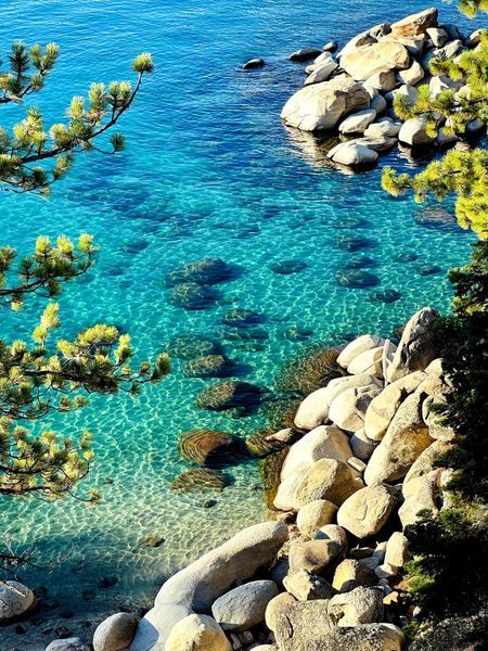 Tahoe Love