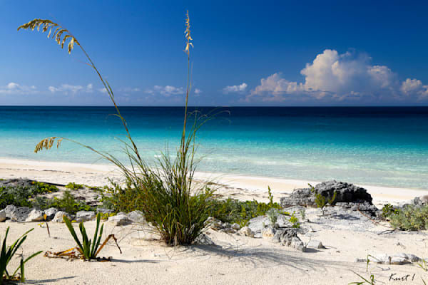 Bahamas