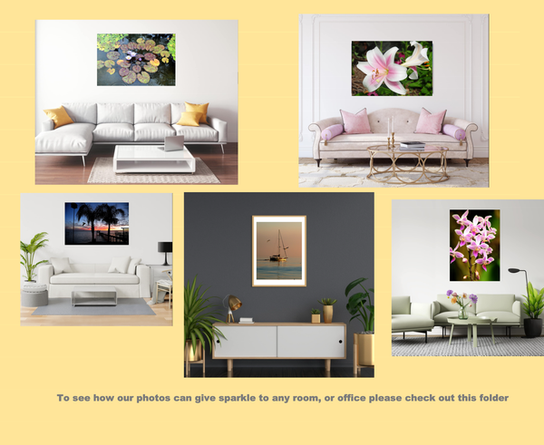 Do you want to see how some of my pictures would look in your house